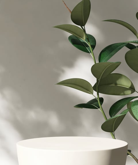 Boho decor with tropical plants